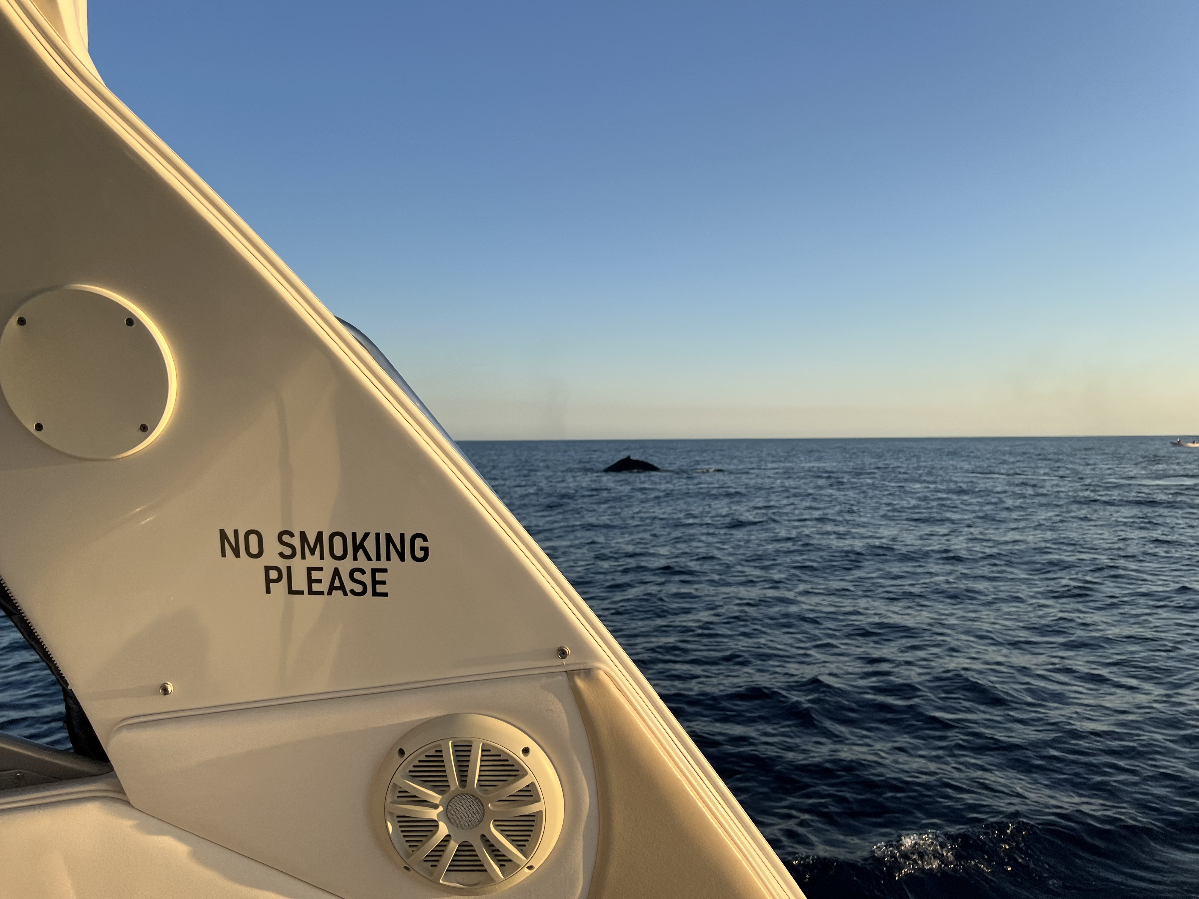 ./2024/13 - Cabo/IMG_4728.jpg